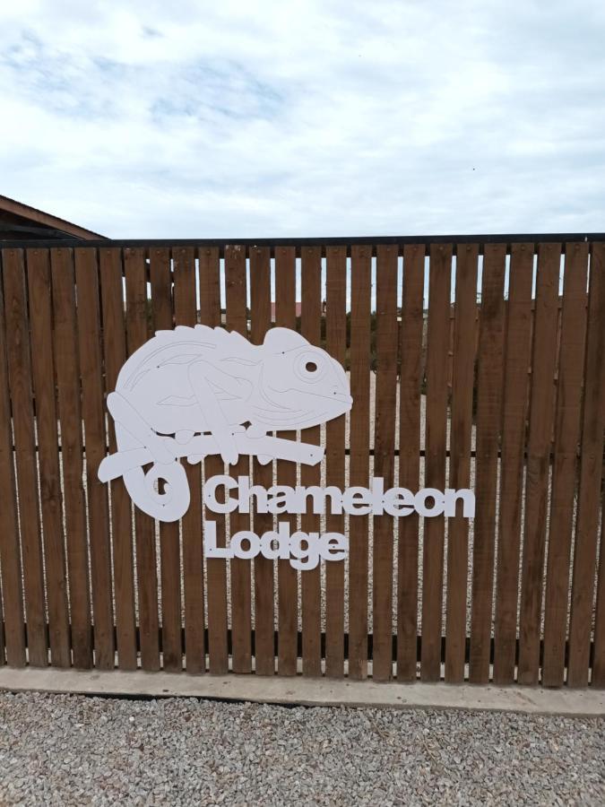 Chameleon Lodge 콜체스터 외부 사진