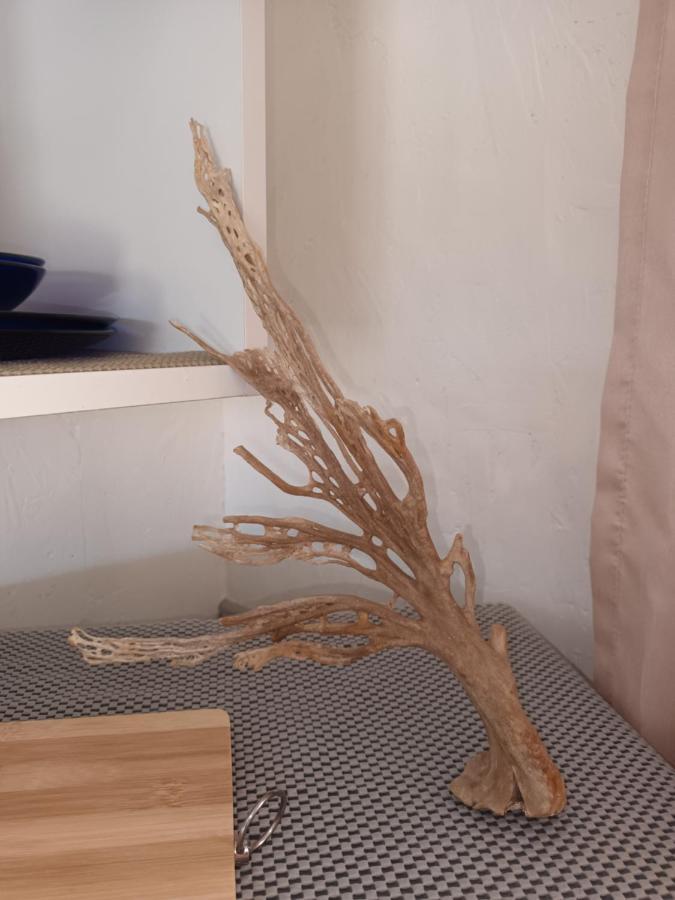 Chameleon Lodge 콜체스터 외부 사진