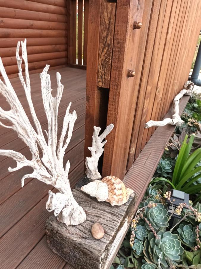 Chameleon Lodge 콜체스터 외부 사진