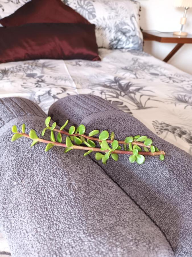 Chameleon Lodge 콜체스터 외부 사진